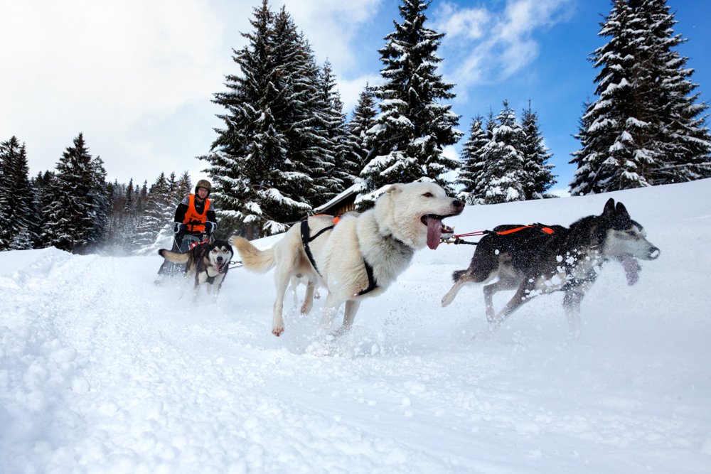 Stefan Klughammer (3)